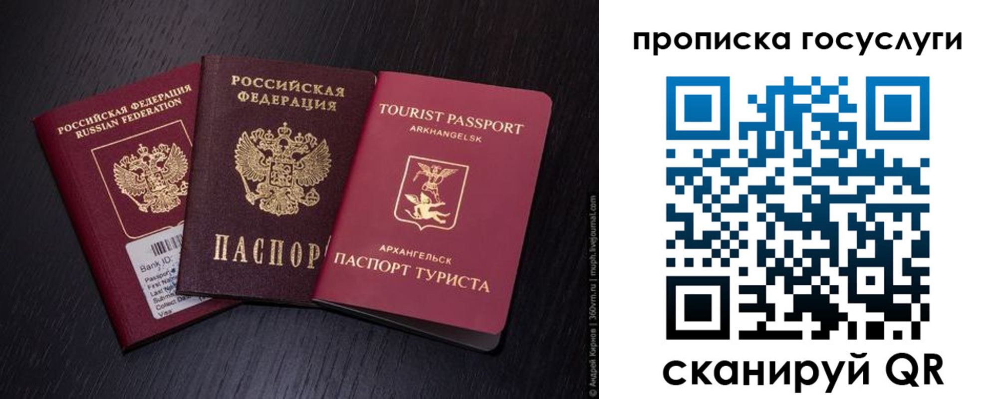 прописка 2025 в Калининграде